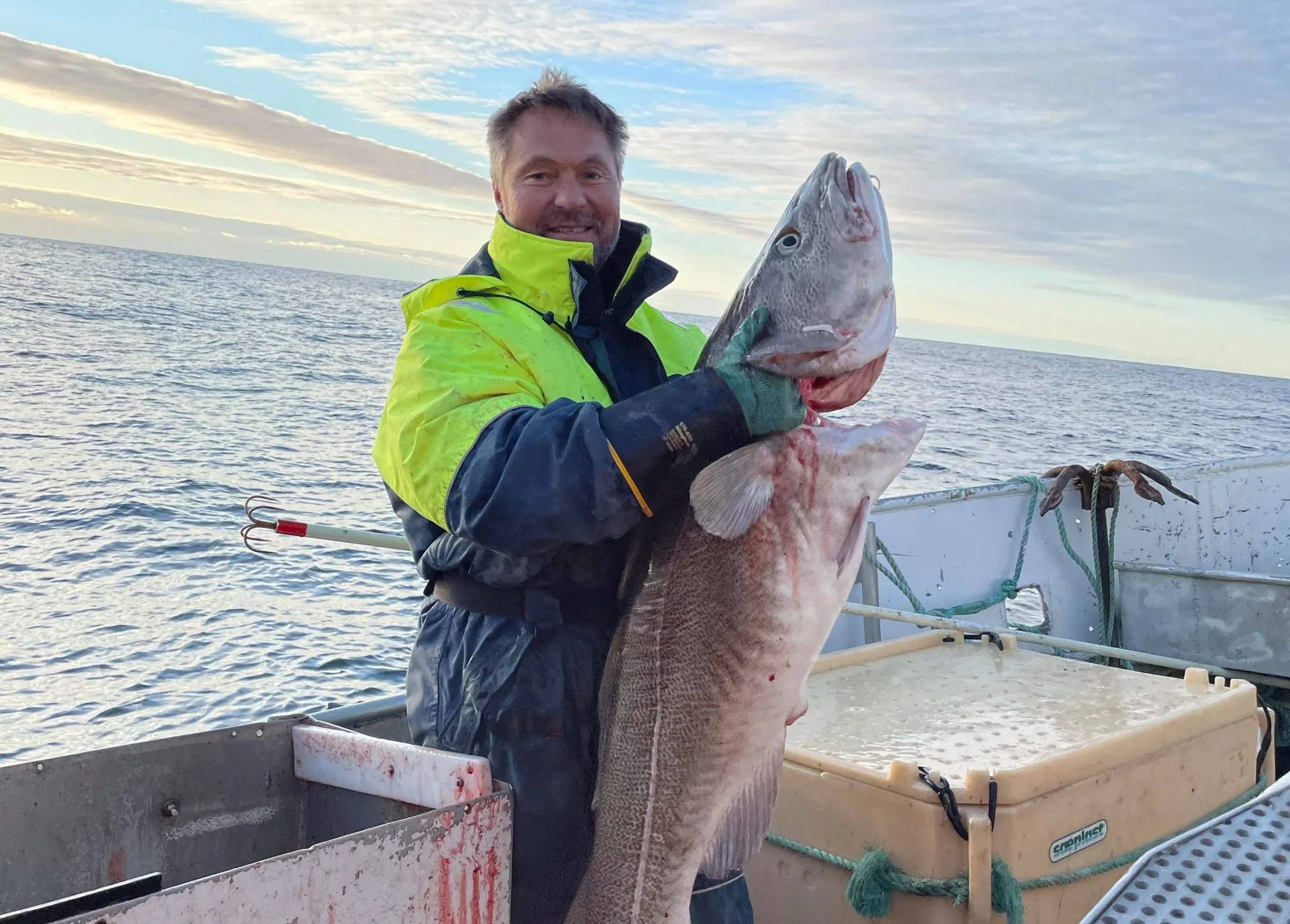 Fisker viser fram en stor torsk fanget i Varangerfjorden