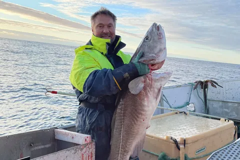 Fisker viser fram en stor torsk fanget i Varangerfjorden