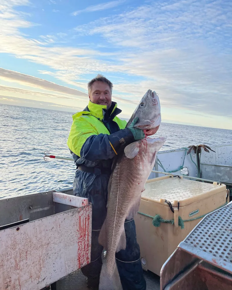 Fisker viser fram en stor torsk fanget i Varangerfjorden