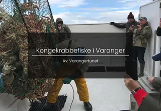 King crab fishing in Varanger