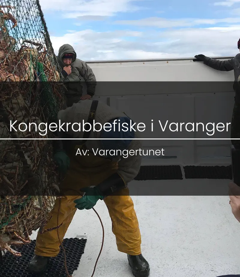 King crab fishing in Varanger
