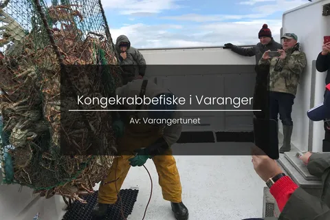 Kongekrabbefiske i Varanger