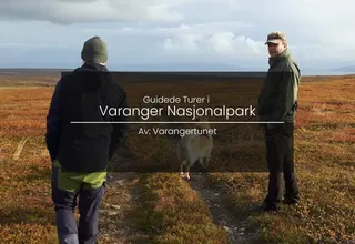 Guided tour in Varangerhalvøya National Park