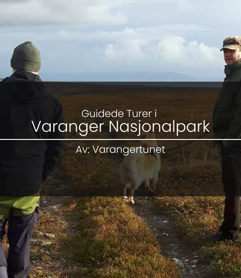 Guided tour in Varangerhalvøya National Park