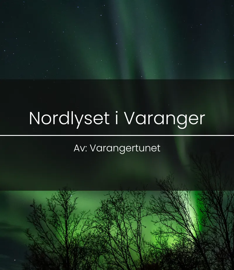 Northern lights over the winter landscape in Varanger