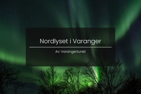 Northern lights over the winter landscape in Varanger