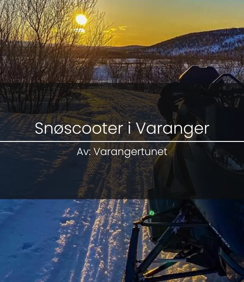 Snowmobile trip in the open landscape of Varanger