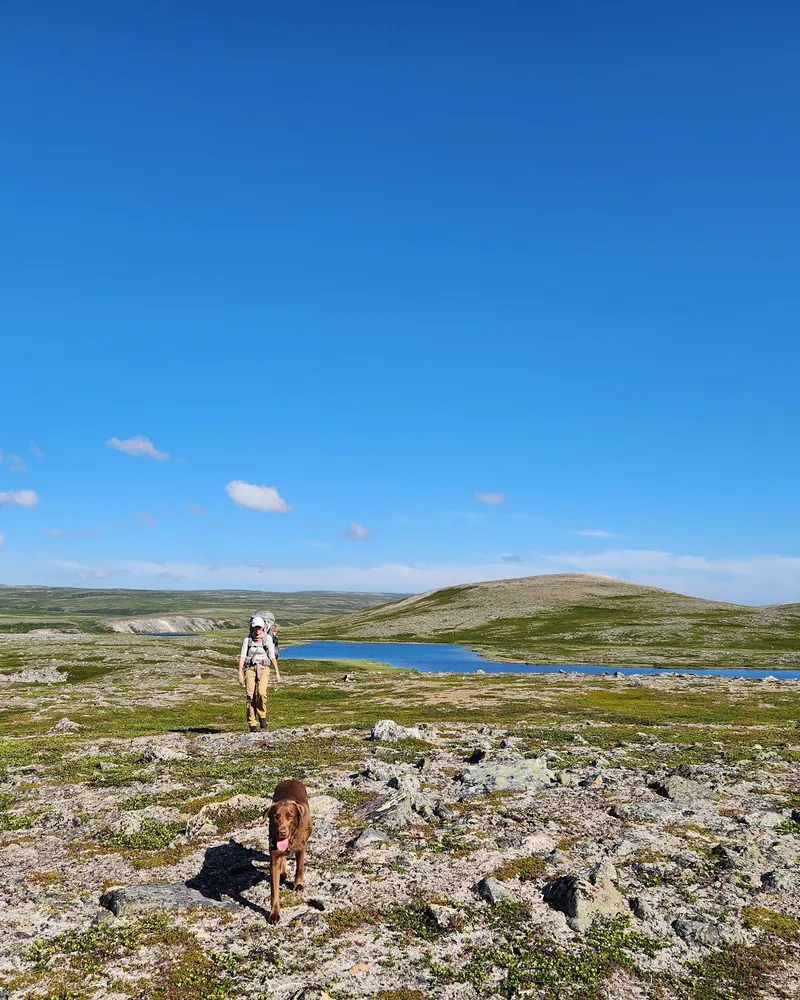 Tur med hund på åpen tundra