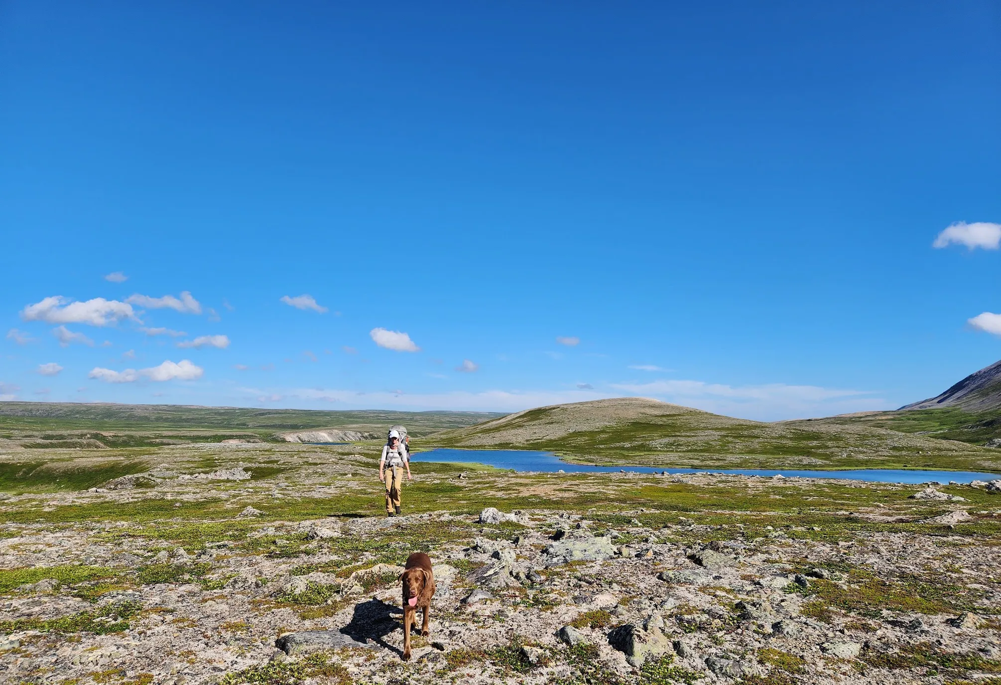 Walking with a dog on open tundra, with a mountain lake in the background